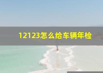 12123怎么给车辆年检