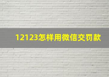 12123怎样用微信交罚款