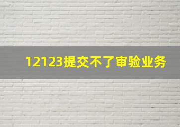 12123提交不了审验业务