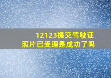 12123提交驾驶证照片已受理是成功了吗