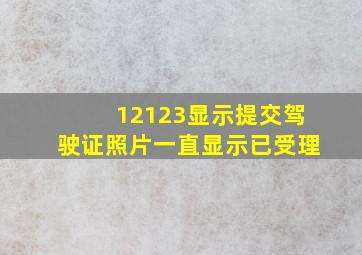 12123显示提交驾驶证照片一直显示已受理