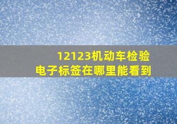 12123机动车检验电子标签在哪里能看到