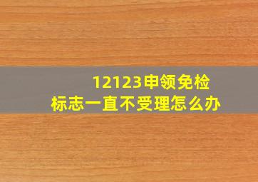 12123申领免检标志一直不受理怎么办