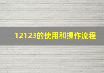 12123的使用和操作流程