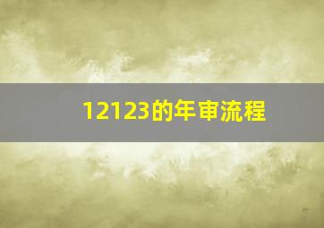 12123的年审流程