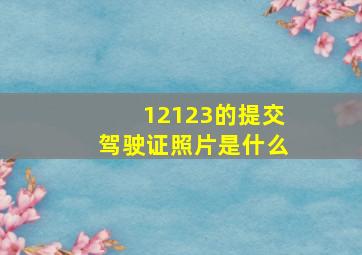 12123的提交驾驶证照片是什么