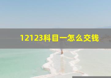 12123科目一怎么交钱