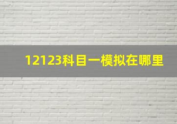 12123科目一模拟在哪里