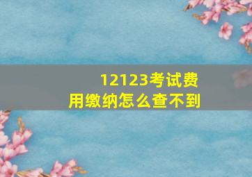 12123考试费用缴纳怎么查不到