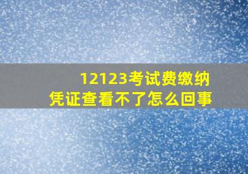 12123考试费缴纳凭证查看不了怎么回事