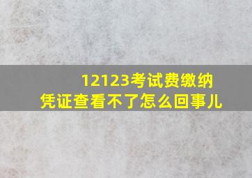 12123考试费缴纳凭证查看不了怎么回事儿