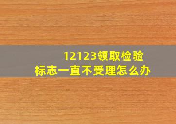 12123领取检验标志一直不受理怎么办