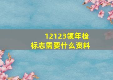 12123领年检标志需要什么资料