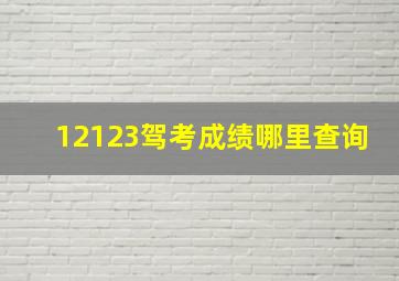 12123驾考成绩哪里查询