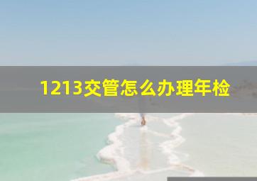 1213交管怎么办理年检