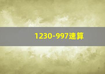 1230-997速算