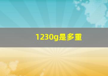 1230g是多重