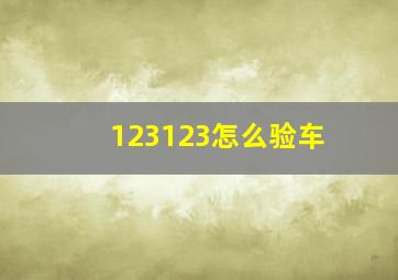 123123怎么验车