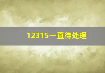 12315一直待处理