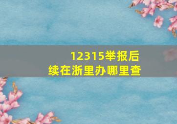 12315举报后续在浙里办哪里查