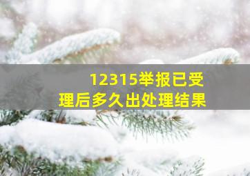 12315举报已受理后多久出处理结果