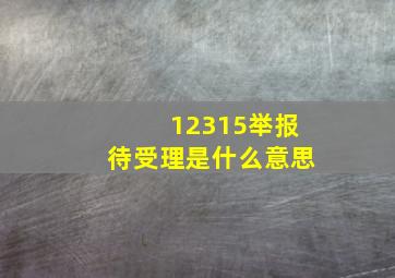 12315举报待受理是什么意思