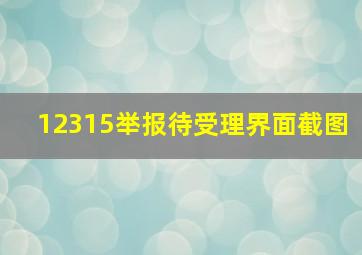 12315举报待受理界面截图