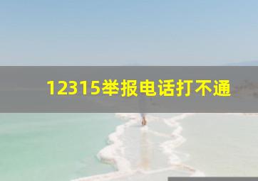 12315举报电话打不通