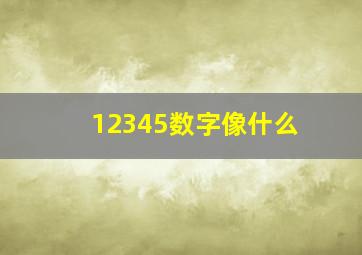 12345数字像什么