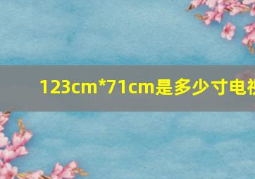 123cm*71cm是多少寸电视