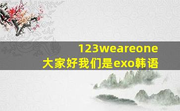 123weareone大家好我们是exo韩语