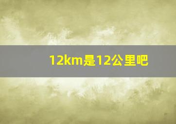 12km是12公里吧