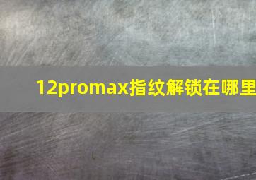 12promax指纹解锁在哪里