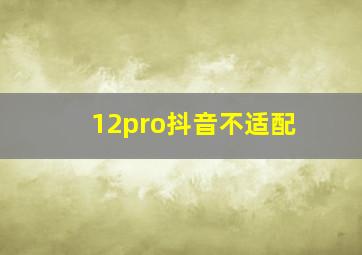 12pro抖音不适配