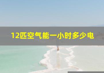 12匹空气能一小时多少电