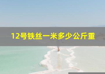 12号铁丝一米多少公斤重