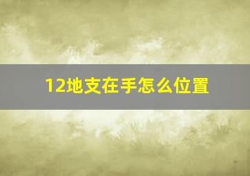 12地支在手怎么位置