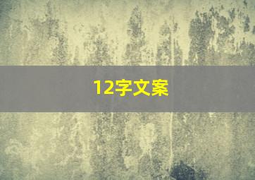 12字文案