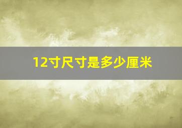 12寸尺寸是多少厘米