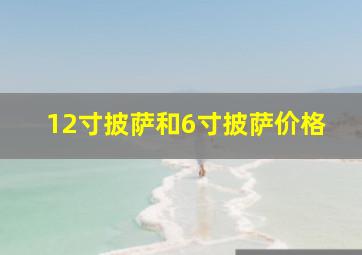 12寸披萨和6寸披萨价格