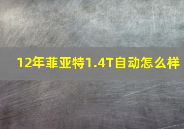 12年菲亚特1.4T自动怎么样