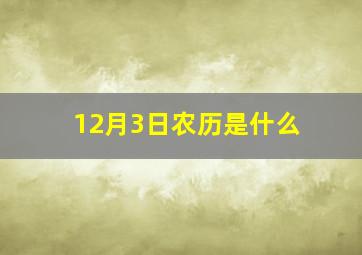 12月3日农历是什么