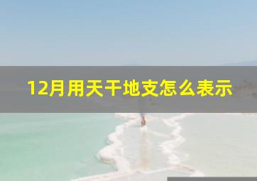 12月用天干地支怎么表示