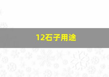 12石子用途