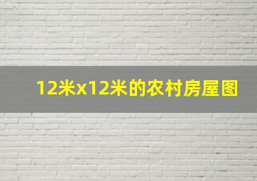 12米x12米的农村房屋图