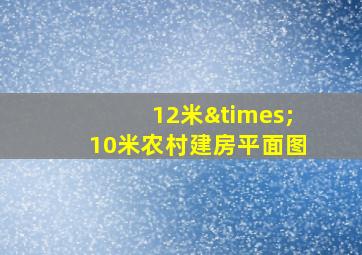 12米×10米农村建房平面图