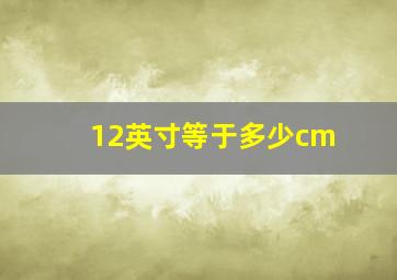 12英寸等于多少cm