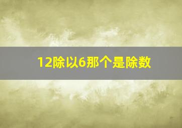 12除以6那个是除数