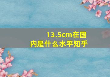 13.5cm在国内是什么水平知乎