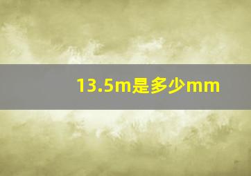 13.5m是多少mm